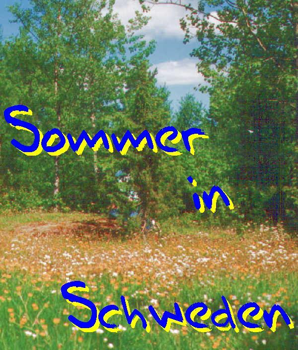 Schwedischer Sommer